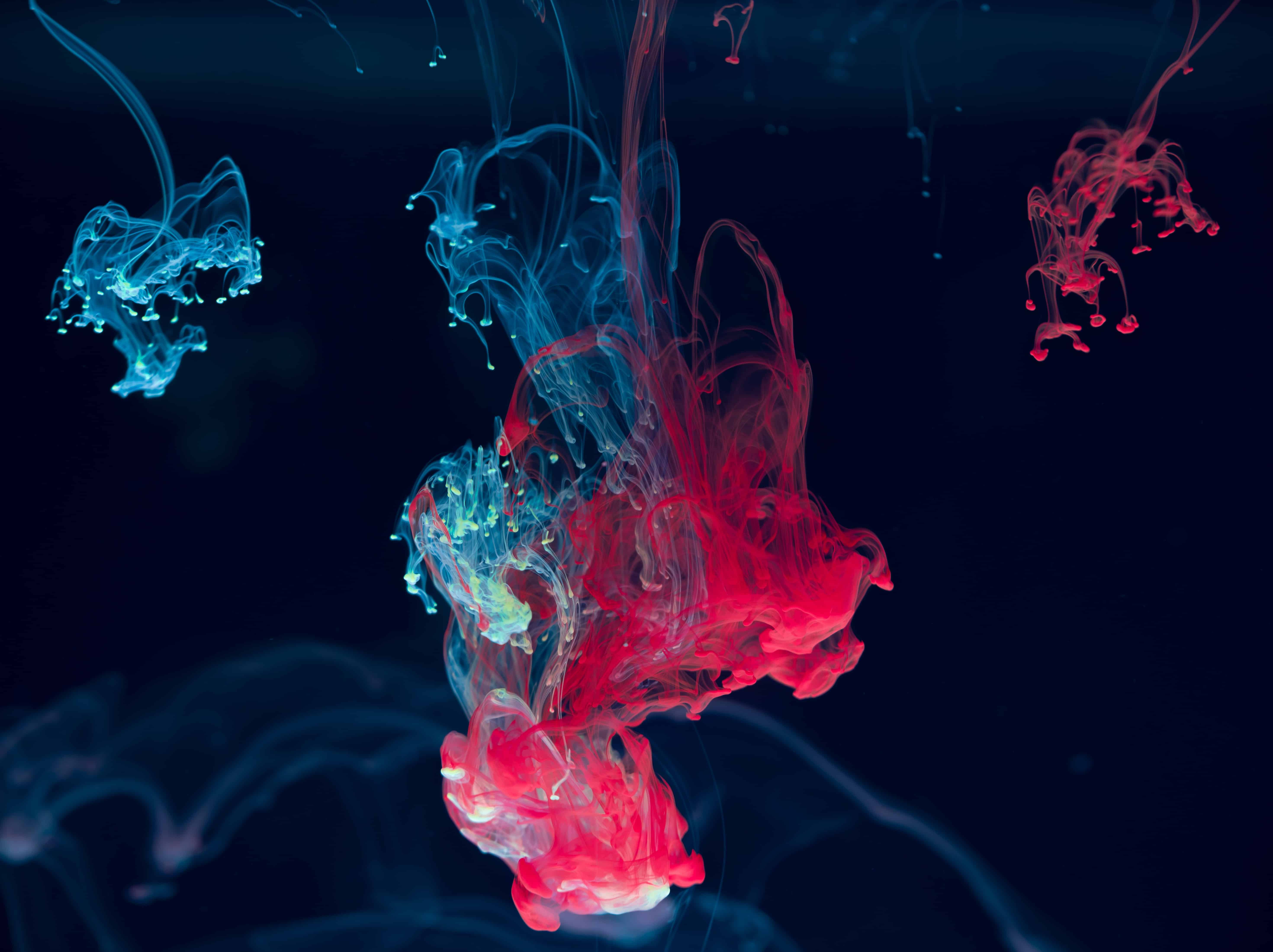 lucas-benjamin-R79qkPYvrcM-unsplash